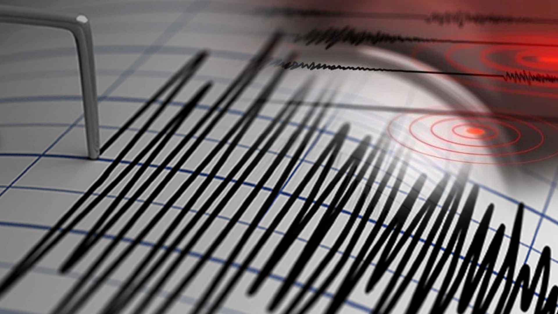 Gempa Magnitudo 4,6 Guncang Tangerang: Warga Berhamburan Keluar Bangunan