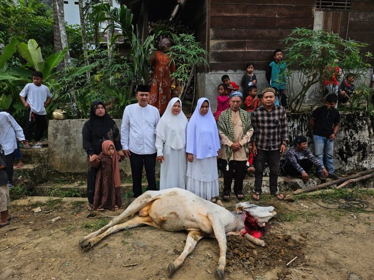 Warga Tapsel Jaga Kemeriahan Ramadhan: Tradisi Potong Sapi Bersama Perkuat Silaturahmi